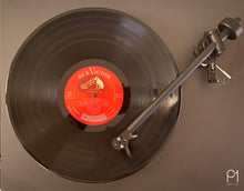 Load image into Gallery viewer, Arthur Fiedler The Boston Pops Concert In The Park Stereo Vinyl LP RCA Red Seal Records LSC-2577