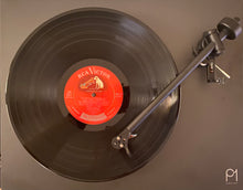 Load image into Gallery viewer, Arthur Fiedler The Boston Pops Concert In The Park Stereo Vinyl LP RCA Red Seal Records LSC-2577