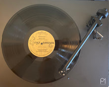 Load image into Gallery viewer, Tchaikovsky Swan Lake Acts 2 And 3 Complete NBC Orchestra Conducted By Leopold Stowkowski Camden Classics PMC 7007