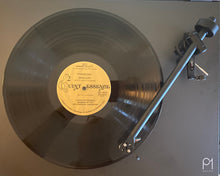 Load image into Gallery viewer, Tchaikovsky Swan Lake Acts 2 And 3 Complete NBC Orchestra Conducted By Leopold Stowkowski Camden Classics PMC 7007
