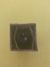 Load image into Gallery viewer, General Electric GE 5AQ5 Vacuum Tube NOS NIB