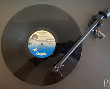 Load image into Gallery viewer, Pat Benatar Crimes Of Passion Stereo Vinyl LP Chrysalis Records CHE 1275