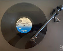 Load image into Gallery viewer, Pat Benatar Crimes Of Passion Stereo Vinyl LP Chrysalis Records CHE 1275