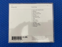 Load image into Gallery viewer, David Gray Greatest Hits CD
