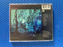 Load image into Gallery viewer, Enya Shepherd Moons CD