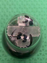 Load image into Gallery viewer, RCA 485 Black Plate Vacuum Tube