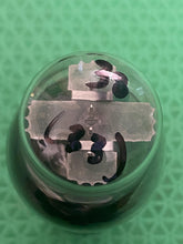 Load image into Gallery viewer, RCA 485 Black Plate Vacuum Tube
