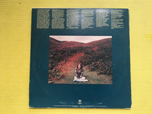 Load image into Gallery viewer, Mike Oldfield Ommadawn Virgin Records Vinyl LP
