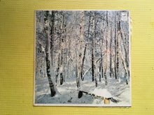 Load image into Gallery viewer, Russian Folk Songs And Romances The Bolshoi Theatre Orchestra Anton Grigoriev Vinyl LP Melodiya Stereo 33 C20-0614546(a)
