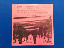 Load image into Gallery viewer, Purrkur Pillnik Googooplex Stereo Vinyl LP Gramm 6 Records Two Record Set Double EP
