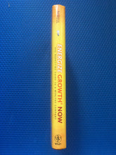 Load image into Gallery viewer, Energize Growth Now The Marketing Guide To A Wealthy Company Lisa Nirell Forward By Guy Kawasaki

