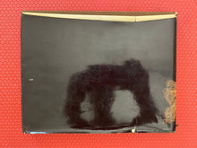 Load image into Gallery viewer, The Auschwitz Album A Book Based Upon An Album Discovered By A Concentration Camp Survivor Random House Publishers 1981
