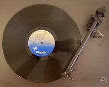 Load image into Gallery viewer, Pat Benatar Precious Time Stereo Vinyl LP Chrysalis Records CHR 1346

