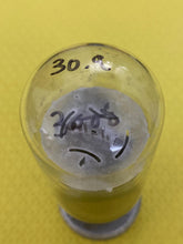 Load image into Gallery viewer, Sylvania 6L6 6L6GC Vacuum Tube Valve For Your Univalve NOS-Testing
