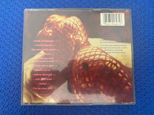 Load image into Gallery viewer, DiVinyls Eponymous Album CD
