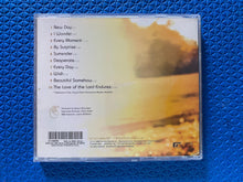 Load image into Gallery viewer, Joy Williams By Surprise CD
